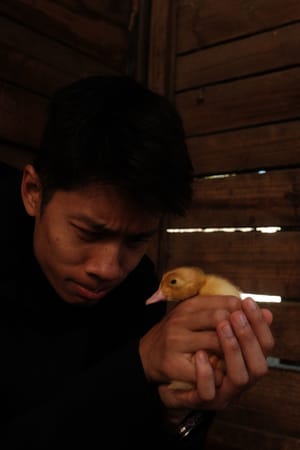 David Liaw
